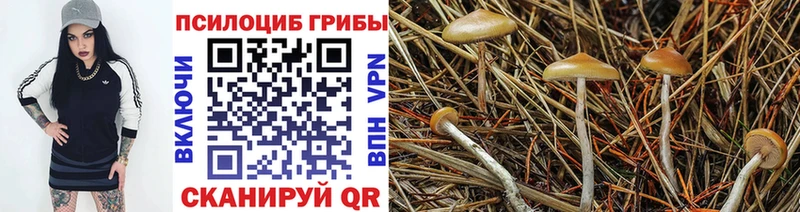 omg маркетплейс  Порхов  Галлюциногенные грибы мицелий 
